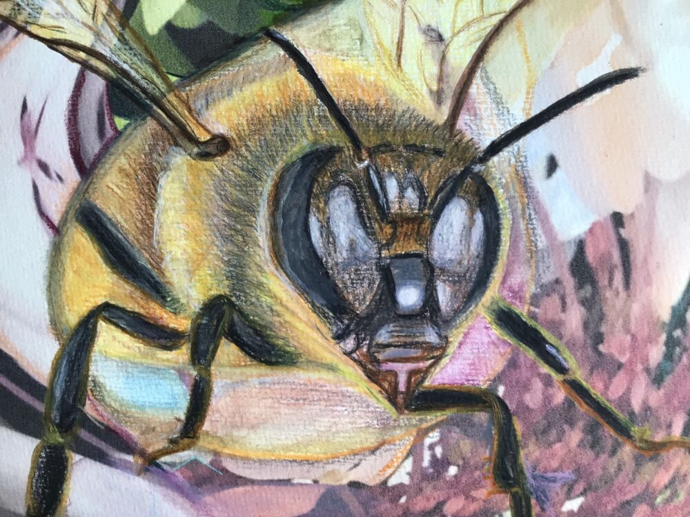Claudia Altemeier (Claud4art) - Bienenwächter, Ansicht 4