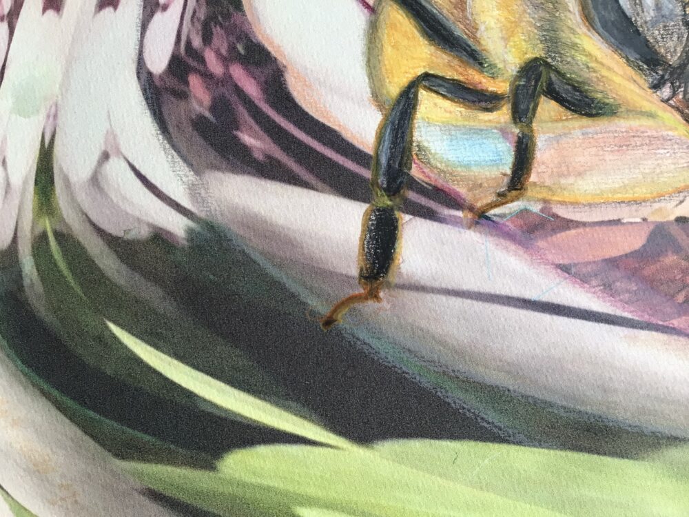 Claudia Altemeier (Claud4art) - Bienenwächter, Ansicht 5