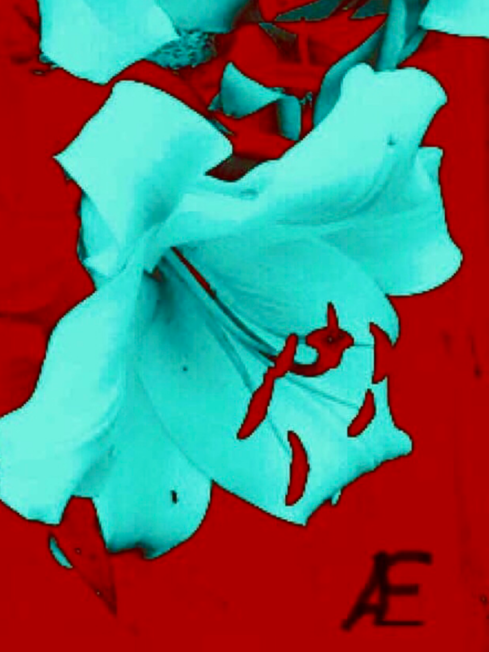 Claudia Altemeier (Claud4art) - Red with lilies in lightblue, Ansicht 2